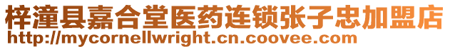 梓潼縣嘉合堂醫(yī)藥連鎖張子忠加盟店