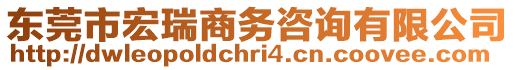 東莞市宏瑞商務咨詢有限公司