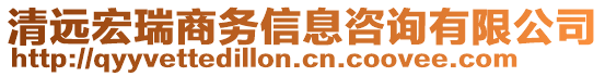 清遠宏瑞商務(wù)信息咨詢有限公司