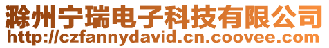 滁州寧瑞電子科技有限公司