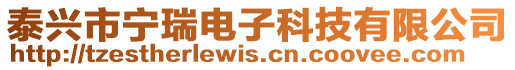 泰興市寧瑞電子科技有限公司