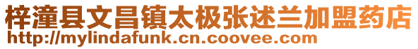 梓潼縣文昌鎮太極張述蘭加盟藥店
