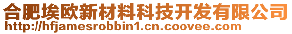 合肥埃歐新材料科技開發(fā)有限公司