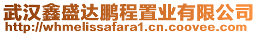 武漢鑫盛達鵬程置業有限公司