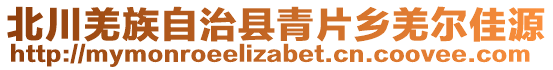 北川羌族自治縣青片鄉(xiāng)羌爾佳源