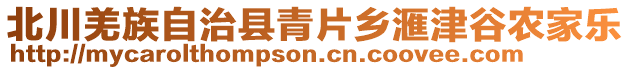 北川羌族自治縣青片鄉(xiāng)滙津谷農(nóng)家樂