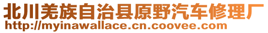 北川羌族自治縣原野汽車修理廠