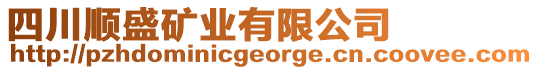 四川順盛礦業(yè)有限公司