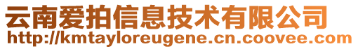 云南愛拍信息技術(shù)有限公司