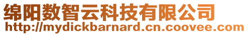 綿陽(yáng)數(shù)智云科技有限公司