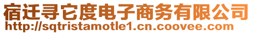 宿遷尋它度電子商務(wù)有限公司