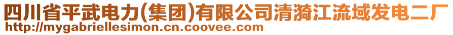 四川省平武電力(集團(tuán))有限公司清漪江流域發(fā)電二廠