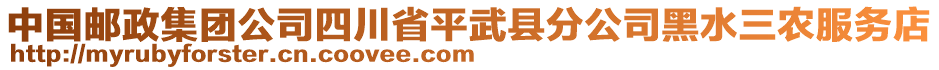 中國郵政集團(tuán)公司四川省平武縣分公司黑水三農(nóng)服務(wù)店