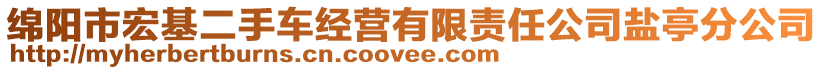 綿陽市宏基二手車經(jīng)營(yíng)有限責(zé)任公司鹽亭分公司