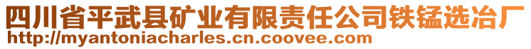 四川省平武縣礦業(yè)有限責(zé)任公司鐵錳選冶廠