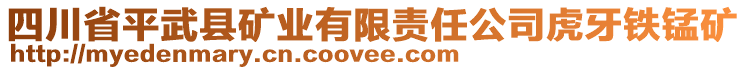 四川省平武縣礦業(yè)有限責(zé)任公司虎牙鐵錳礦