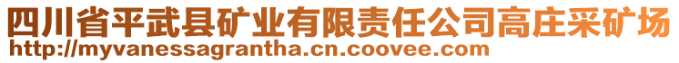 四川省平武縣礦業(yè)有限責(zé)任公司高莊采礦場(chǎng)