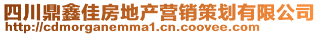 四川鼎鑫佳房地產(chǎn)營(yíng)銷策劃有限公司