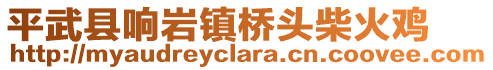 平武縣響巖鎮(zhèn)橋頭柴火雞