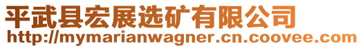 平武縣宏展選礦有限公司