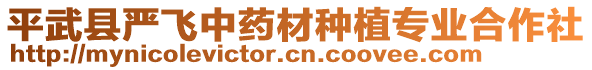 平武縣嚴飛中藥材種植專業(yè)合作社