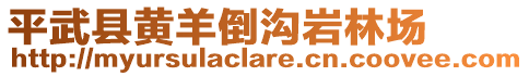 平武縣黃羊倒溝巖林場