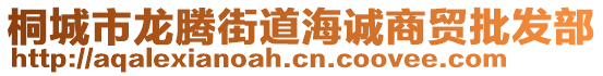 桐城市龍騰街道海誠(chéng)商貿(mào)批發(fā)部