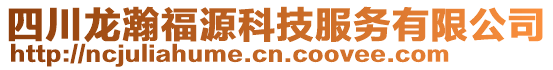 四川龍瀚福源科技服務(wù)有限公司