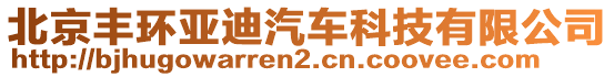 北京豐環(huán)亞迪汽車科技有限公司