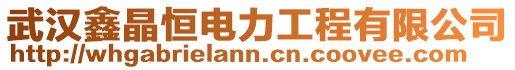 武漢鑫晶恒電力工程有限公司