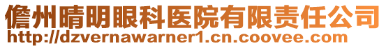 儋州晴明眼科醫(yī)院有限責任公司