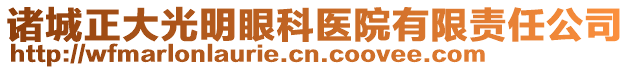 諸城正大光明眼科醫(yī)院有限責任公司