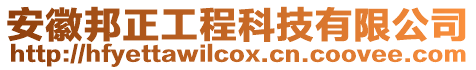 安徽邦正工程科技有限公司