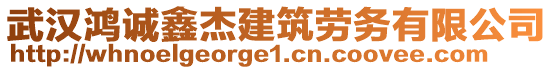 武漢鴻誠鑫杰建筑勞務(wù)有限公司