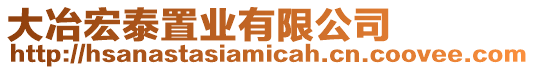 大冶宏泰置業有限公司