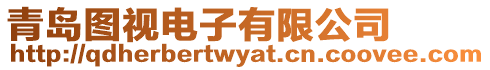 青島圖視電子有限公司