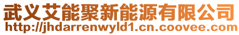 武義艾能聚新能源有限公司