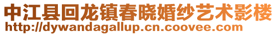 中江縣回龍鎮春曉婚紗藝術影樓