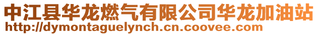 中江縣華龍燃氣有限公司華龍加油站