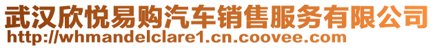 武漢欣悅易購(gòu)汽車(chē)銷(xiāo)售服務(wù)有限公司