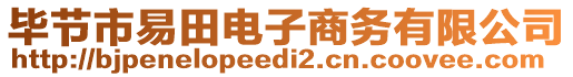 畢節(jié)市易田電子商務有限公司