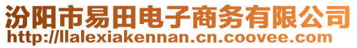 汾陽市易田電子商務有限公司