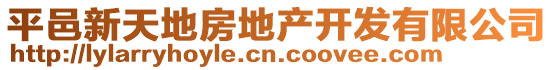 平邑新天地房地產(chǎn)開(kāi)發(fā)有限公司