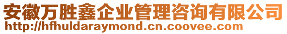 安徽萬勝鑫企業(yè)管理咨詢有限公司