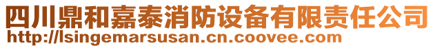 四川鼎和嘉泰消防設備有限責任公司