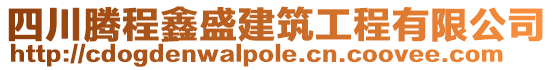 四川騰程鑫盛建筑工程有限公司