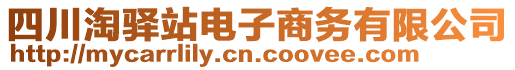 四川淘驛站電子商務(wù)有限公司