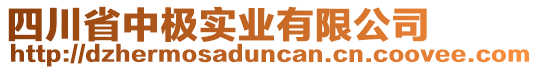 四川省中極實業(yè)有限公司