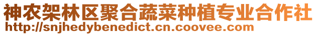 神農(nóng)架林區(qū)聚合蔬菜種植專業(yè)合作社