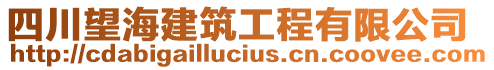 四川望海建筑工程有限公司